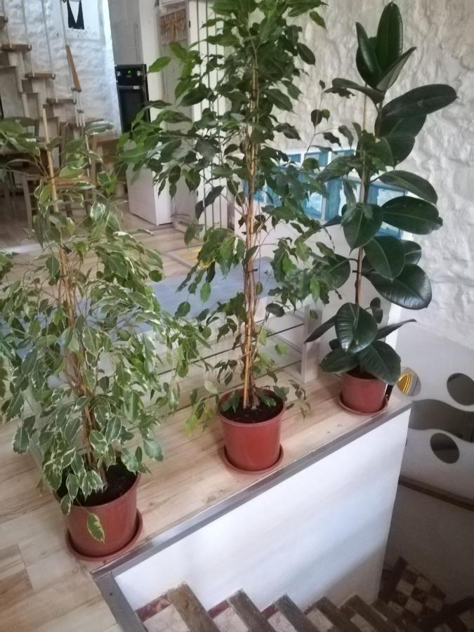 Maison De Ville, Terrasse, Chaleureuse Apartman Narbonne Kültér fotó